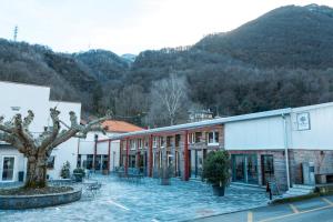 a building with a tree in front of a mountain at Il Platano Guest House in Quartino