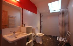 a bathroom with a sink and a toilet and a window at Chez soule in Riupeyrous +15 photos