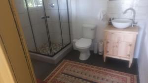a bathroom with a shower and a toilet and a sink at Die Kuierhuis in Ventersburg