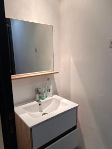 a bathroom with a white sink and a mirror at 3- Le saule mauve in Poitiers