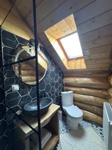 a bathroom with a sink and a toilet at Pensiunea Sub Ursoi in Ieud