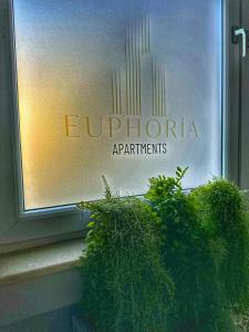 a window with a sign that reads europotionarmaarmaagents at Euphoria Apartments in Beiuş