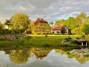 a house with a pond in front of it at Żuławska Chata in Nowy Dwór Gdański +42 photos