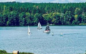 a group of sailboats floating on a large lake at Stunning Home In Rybical With Wifi in Rybical