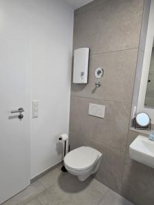 a bathroom with a toilet and a sink at Zippel`s Fewo M14 in Bad Buchau +2 photos