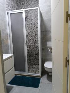 a bathroom with a shower and a toilet at Apartment in Tanger in Tangier