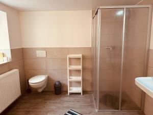 a bathroom with a toilet and a shower at StayHere24 Große Monteur- und Ferienwohnung am Auenwald in Schkeuditz