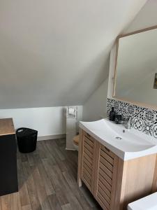 a bathroom with a sink and a mirror at Logement indépendant à la campagne proche du Pôle européen du Cheval et Circuit des 24h du Mans in Courceboeufs +5 photos