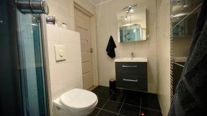 a bathroom with a toilet and a sink and a mirror at Veløyveien 4b in Sandefjord