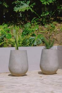 two cement pots with plants in them sitting on a table at Casa Palma in Medellín