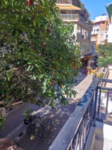 Eine Gruppe Fahrräder parkte neben einem Baum in der Unterkunft Urban Elegance in Larisa