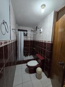 a bathroom with a toilet and a shower at Candela Apartment PUNO in Puno