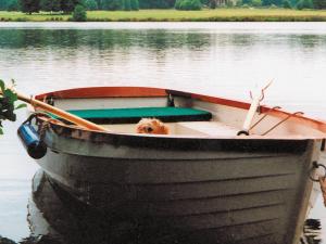 a dog sitting in a boat on the water at Deer Park Lookout - E3928 in Thorpe Market +1 photo