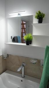 a bathroom with a sink with a mirror and plants at Baita Valmalenco - Casa con sauna panoramica, 5 minuti da Chiesa Valmalenco in Torre di Santa Maria +30 photos