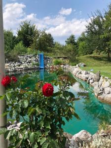 a river with red roses in a garden at Garden Rooms near Munich in Althegnenberg
