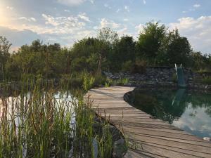 a wooden path next to a body of water at Garden Rooms near Munich in Althegnenberg +5 photos