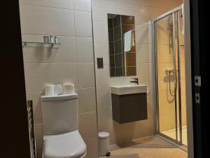 a bathroom with a toilet and a sink and a shower at HNFC Stays - Harmony Accommodation in Elswick