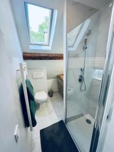 a bathroom with a shower and a toilet at Maison avec Jacuzzi - Europa-Park in Obenheim