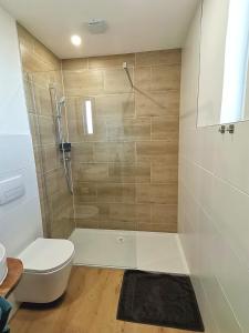 a bathroom with a shower with a toilet and a sink at Wohnung Werratal Blick in Dankmarshausen