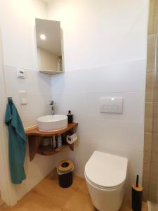 a bathroom with a white toilet and a sink at Wohnung Werratal Blick in Dankmarshausen