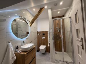 a bathroom with a sink and a toilet and a mirror at Apartament u Buki Zator, Skawina, Kraków in Pozowice +14 photos