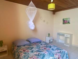 a bedroom with a bed with a net at Roger et Micheline a Kaz in Le Carbet