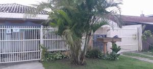 a palm tree in front of a white fence at Suíte aconchego in Guaratuba