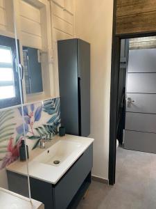 a bathroom with a sink and a mirror at Gîte T2 cosy indépendant tout confort in Vieux-Fort
