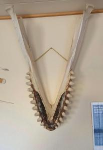a skeleton of a ceiling in a room at Tent in ices in Nibe