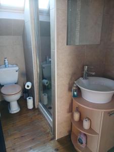a bathroom with a sink and a toilet at Rose Cottage studio in Sheffield