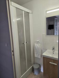 a bathroom with a shower and a sink at Hotel le Saint Germain in Flers +18 photos