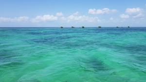 a large body of water with trees in the distance at Ti Cactus Guadeloupe in Sainte-Rose