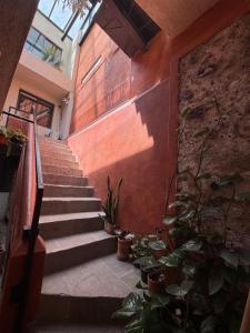 a staircase in a building with potted plants at Casa H in San Miguel de Allende