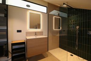 a bathroom with a sink and a shower at Chez Martine & Pierre in Baillonville