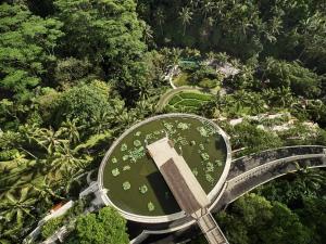 una vista aérea de un edificio en el bosque en Four Seasons Resort Bali at Sayan, en Ubud