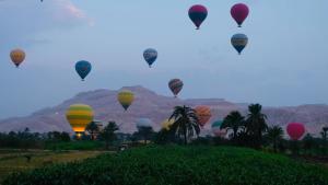 a group of hot air balloons flying in the sky at golden house in Al Aqālitah