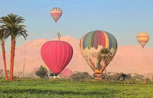 a group of hot air balloons flying over a field at golden house in Al Aqālitah +6 photos