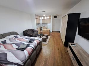 a bedroom with a large bed and a living room at Tea Planet 2 in Niš