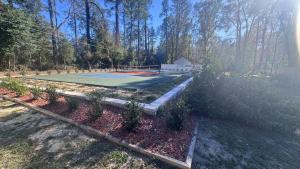 a tennis court in the middle of a yard at The Nest in Gainesville