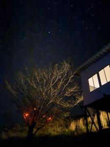a tree in front of a building at night at Nosara Hideaway 2 - BREAKFAST AVAILABLE & Mountain View Cabins in Nicoya