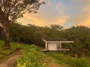 a small white house in a field with a tree at Nosara Hideaway 2 - BREAKFAST AVAILABLE & Mountain View Cabins in Nicoya +59 photos