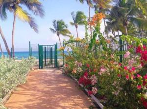 a pathway leading to the beach with flowers and palm trees at Studio en bord de mer - létama - Résidence Archipel Savane in Le Gosier +1 photo