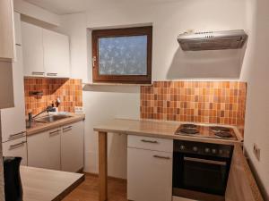 a small kitchen with a stove and a sink at Unterkunft 24 in Aldingen