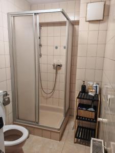 a bathroom with a shower and a toilet at Unterkunft 24 in Aldingen
