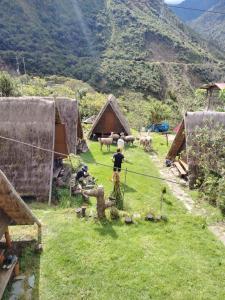 a person standing in a field with a herd of animals at Hay & Mountain Huts in Colcapampa