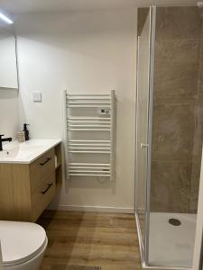 a bathroom with a shower and a toilet and a sink at Charmant appartement moderne A in La Roche-sur-Yon