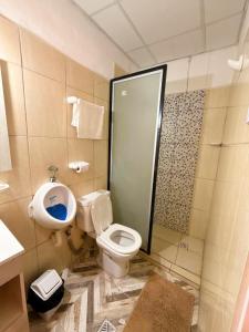 a bathroom with a toilet and a sink and a shower at En Armonía in Tinogasta +18 photos