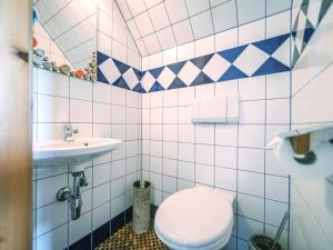 a bathroom with a toilet and a sink at Naturpark Chalet Schladming-Dachstein in Großsölk
