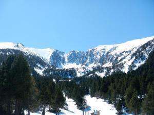 a snow covered mountain with trees in the foreground at studio MONT LOUIS in La Cabanasse