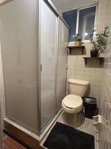 a bathroom with a toilet and a shower at Acogedor y céntrico Departamento in León +12 photos